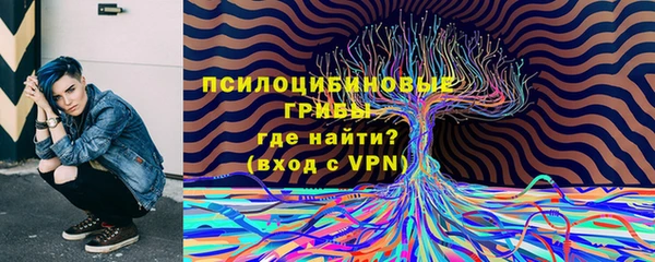ECSTASY Балахна