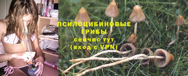 бошки Баксан
