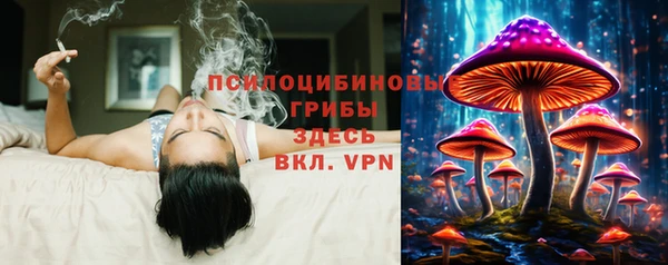 ECSTASY Балахна