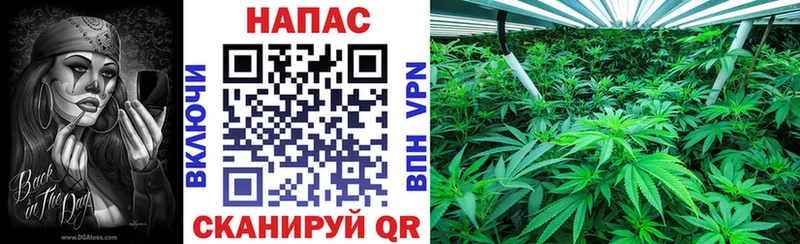 omg tor  Райчихинск  МАРИХУАНА Amnesia 